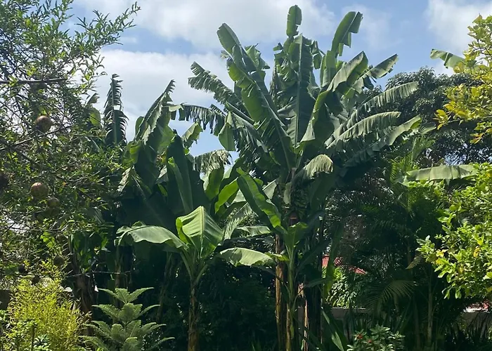 Bed and Breakfast Garden Escape Arusha