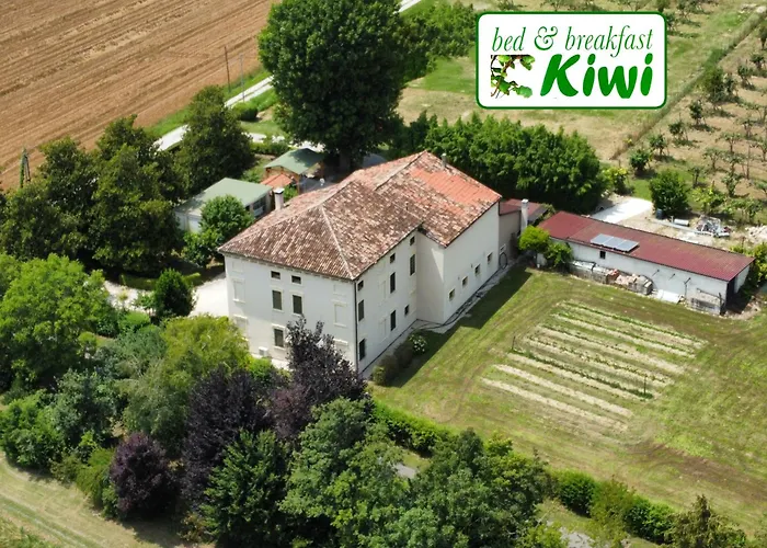 B&B Kiwi