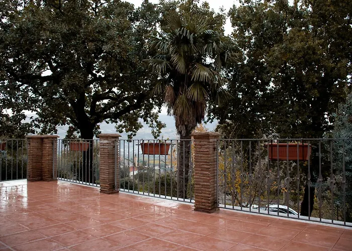 The Oaks