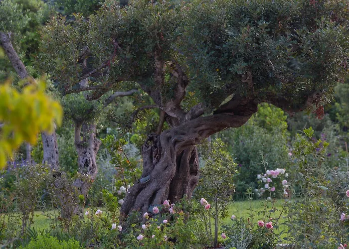 Bed and Breakfast Borgo dei Lecci Puglia Selva Di Fasano