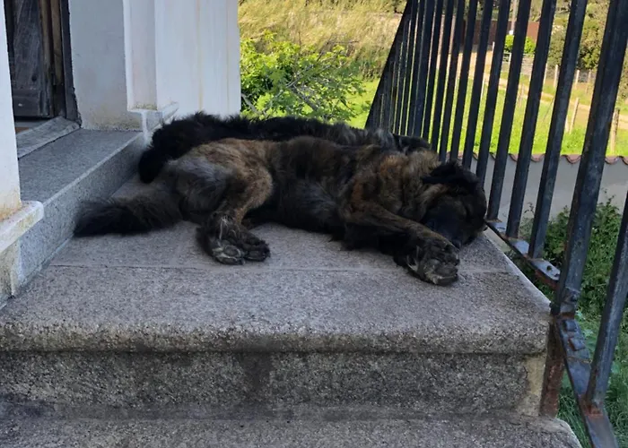 A Loghja Di Cavallo Morto Bonifacio 