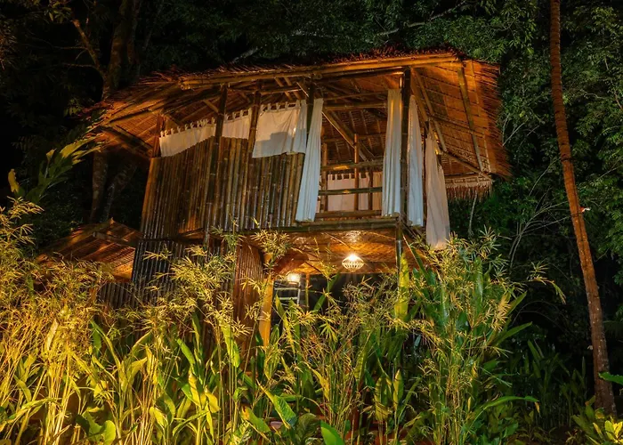 Water To Forest Ecolodge Loboc