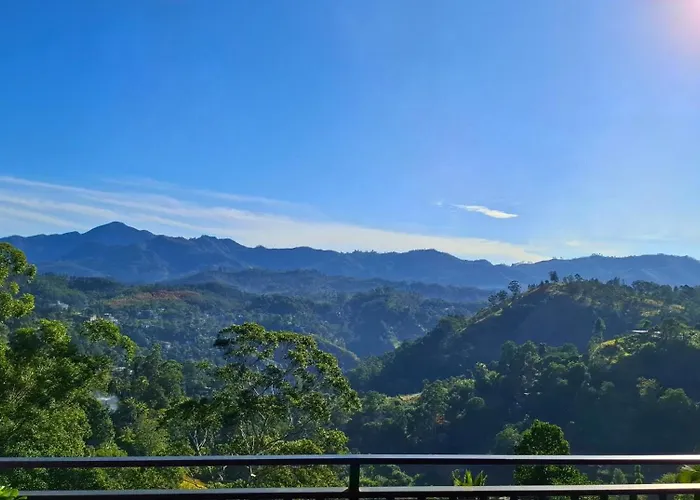 Shining Green View