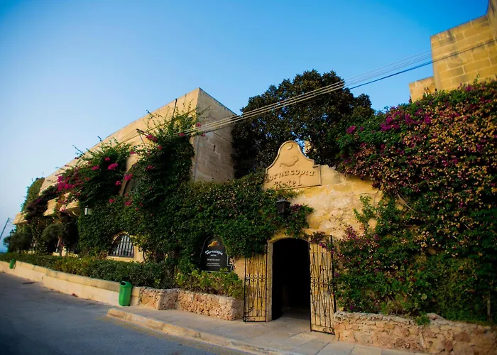 Cornucopia Hotel