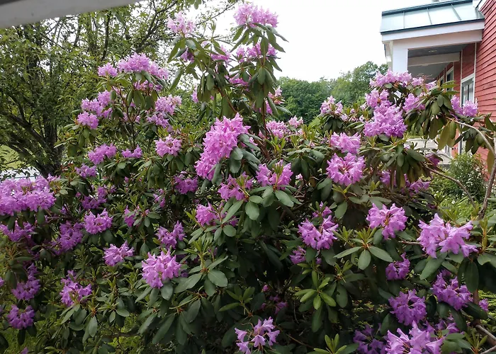 Maple Hill Farm Inn Augusta