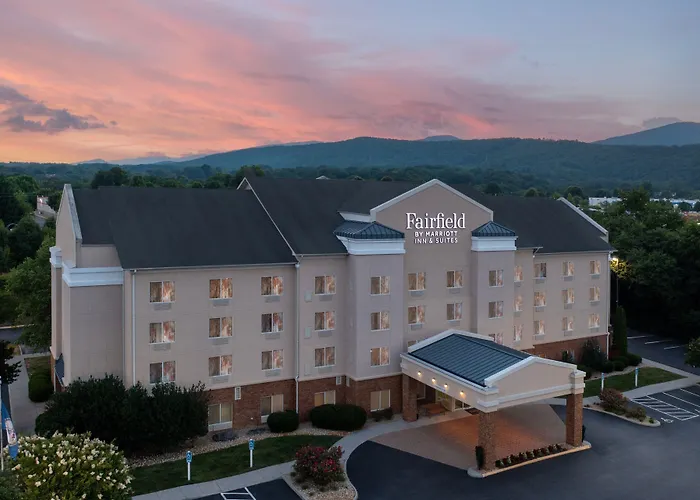 Fairfield Inn & Suites Roanoke Hollins/I-81