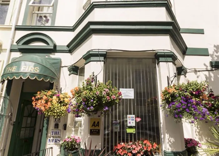 The Firs Bed And Breakfast