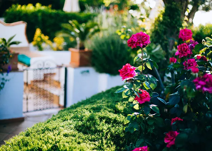 Bed and Breakfast Il Giardino dell'Arte Anacapri 