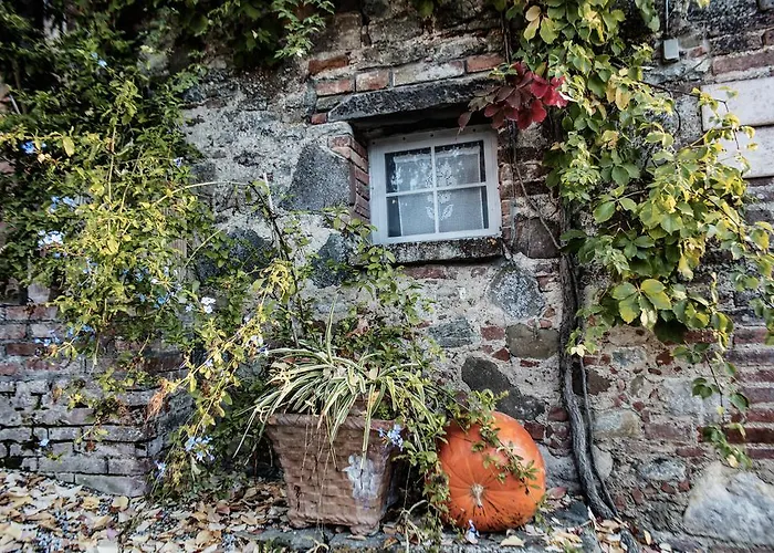 Villa Il Poggio Sinalunga
