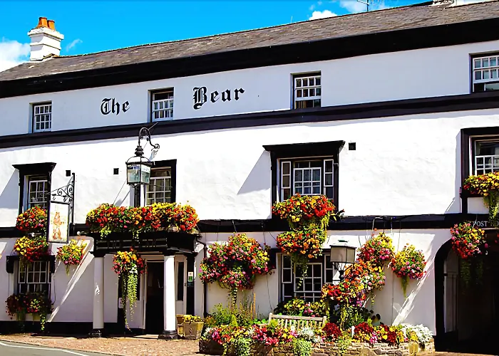 Bear Crickhowell