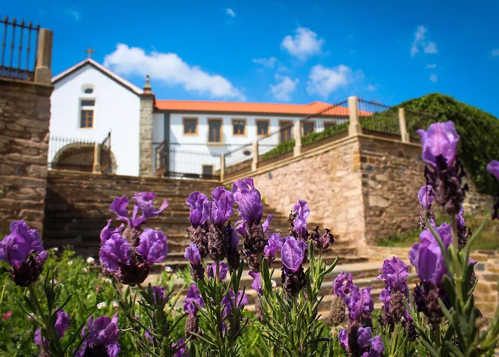 Convento Da Serta Hotel