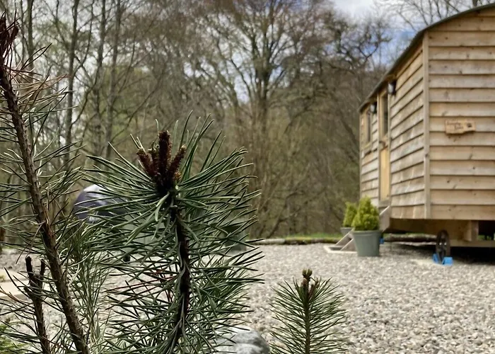 Highland Bear Lodge & Woodland Bear Huts Drumnadrochit