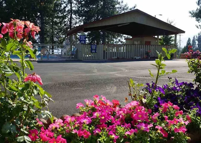 Swiss Holiday Lodge