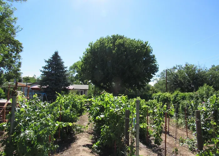 Red Horse Bed And Breakfast Albuquerque