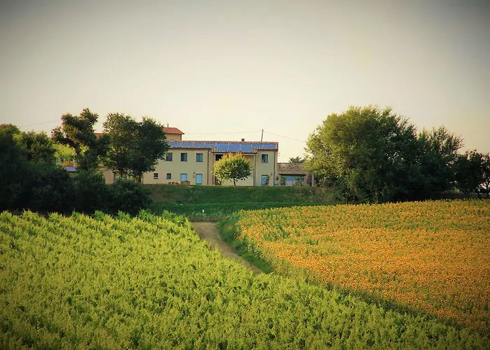 B&B Ceresà - Country House Loreto