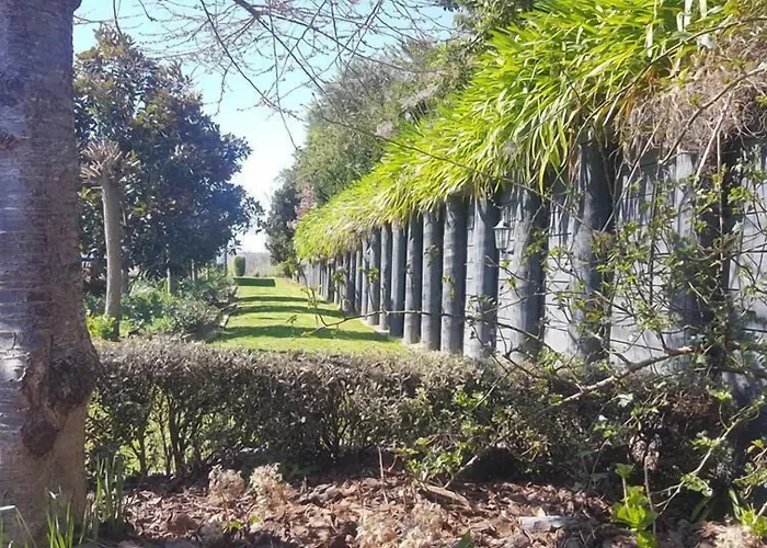 Waitomo Orchard Estate B&B