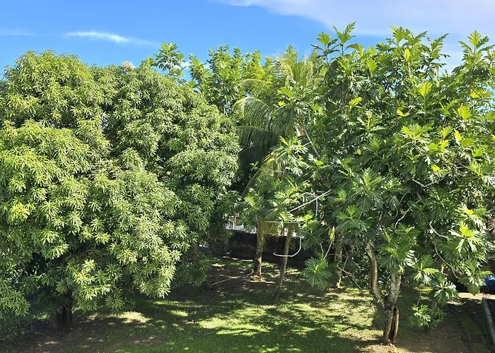 Blue Paloma Bed & Breakfast Lucea