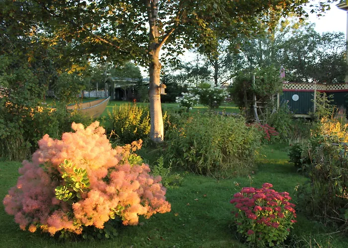 Rothesay House Heritage Inn B&B Harbour Grace
