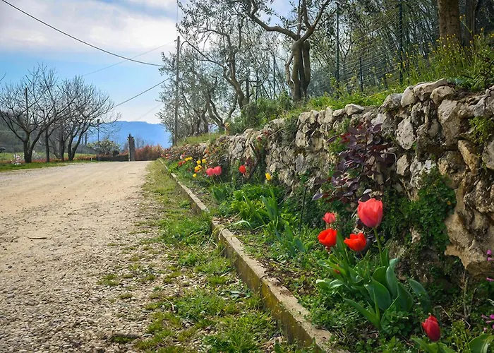 Bed And Breakfast La Quiete Arcugnano