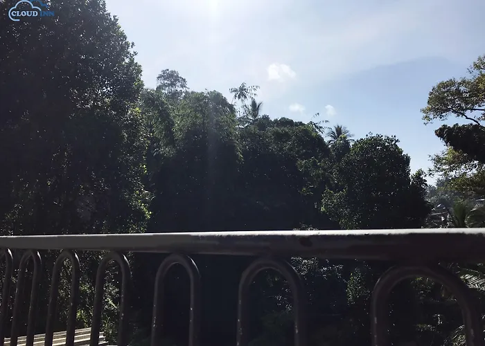 Cloud Inn Homestay - Near Temple Of Tooth