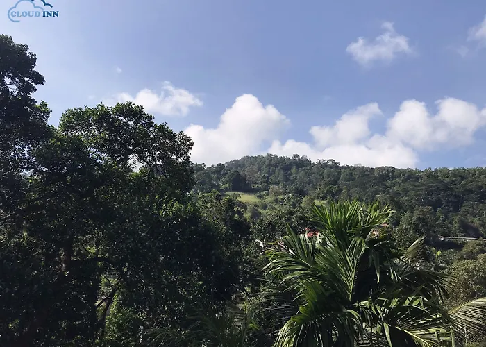 Cloud Inn Homestay - Near Temple Of Tooth