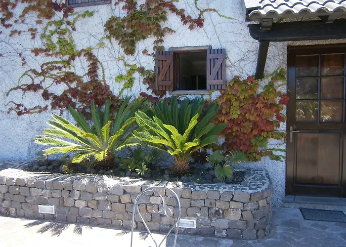 Casa Das Proteas São Jorge