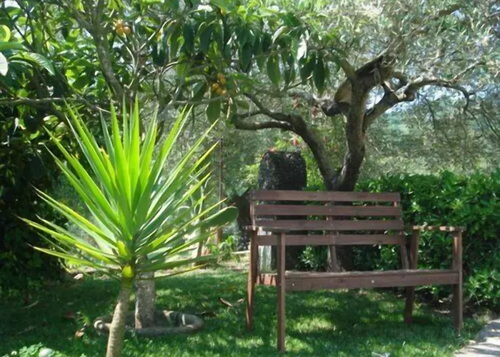 Bed and Breakfast Cilentowave Casal Velino
