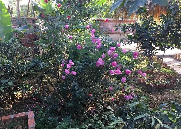 Van Long Family Homestay