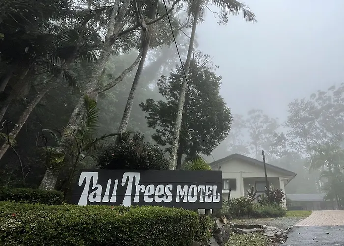 Tall Trees Motel Mountain Retreat