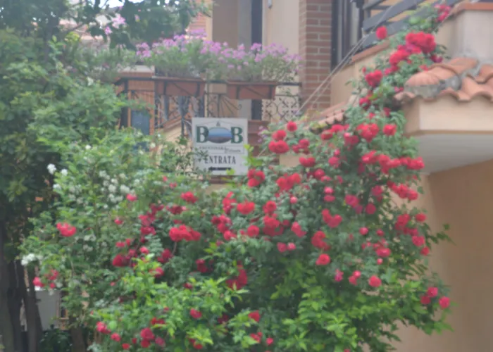 Bed and Breakfast Trentinara Cilento