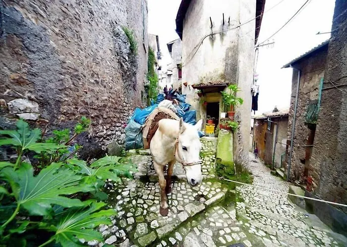 Bed and Breakfast Rupe Antica Artena