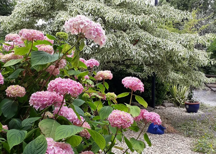 Stoneleigh Barn Bed And Breakfast Sherborne 