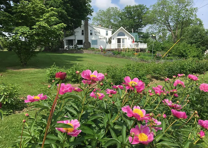 Enfield Manor Bed&Breakfast And Vacation Rental