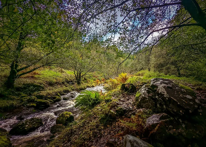 Mill Lodge-Brecon Beacons