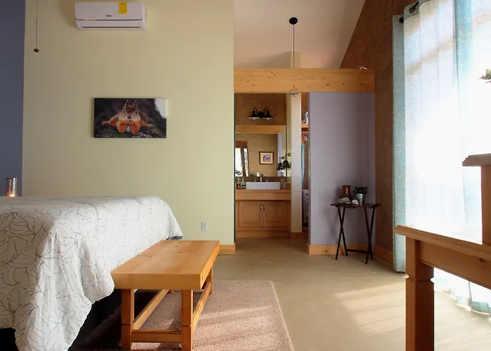 Casa Mayoral B&B Pet friendly Valle de Guadalupe