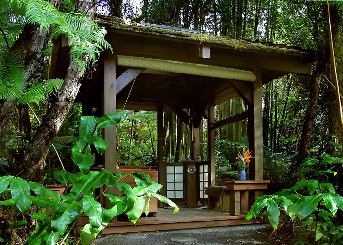 Rainforest Retreat