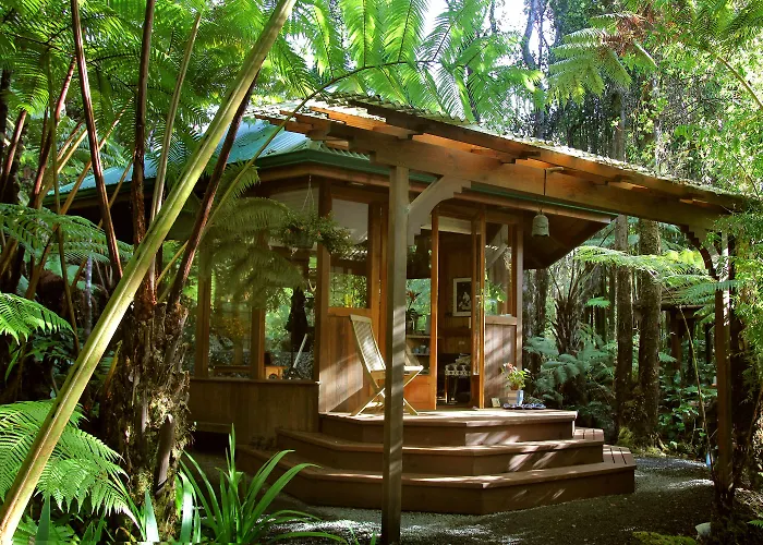 Rainforest Retreat