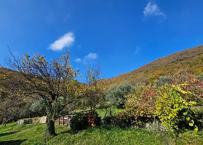 Poggio Del Sole