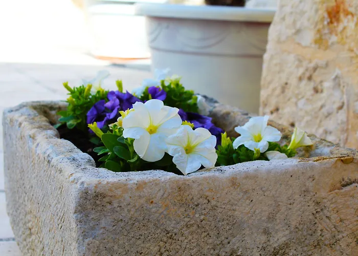 Bed and Breakfast Trulli Antica Fonte Alberobello