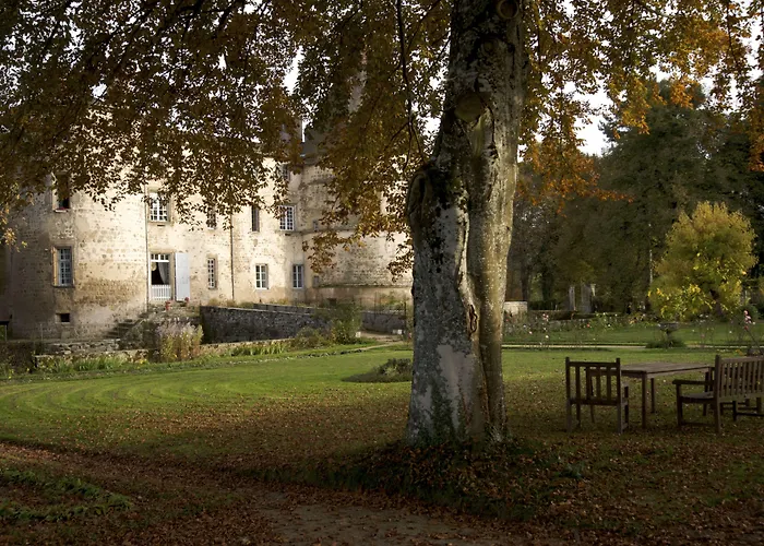 Château des Martinanches