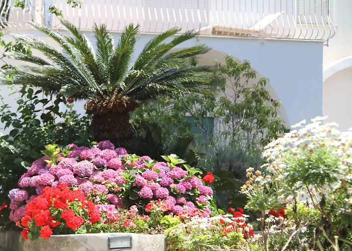 B&B Il Sogno Anacapri 