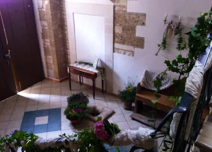 B&B Savarini