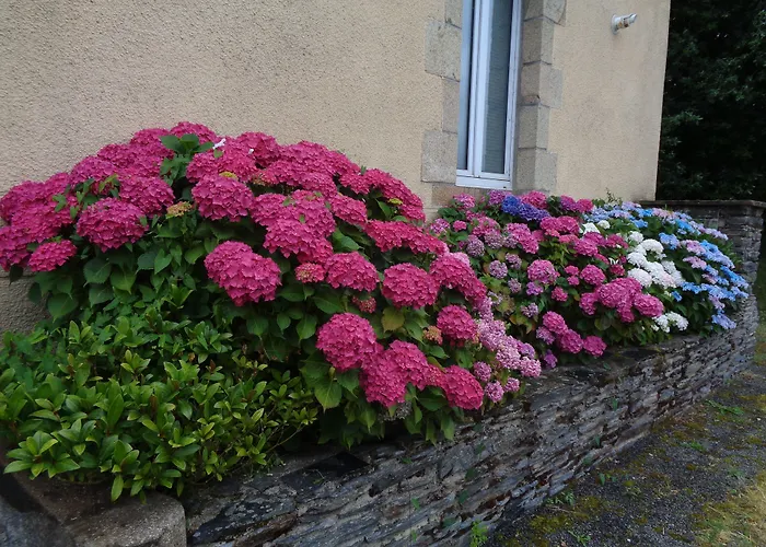 Bed and Breakfast Popote et Polochon à Saint-Martin-sur-Oust