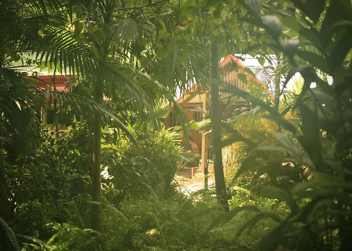 Tropical Bliss Bed And Breakfast Mena Creek