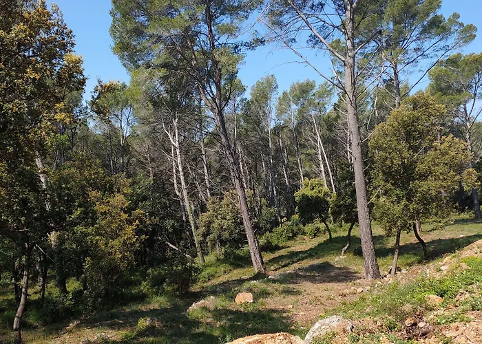 Les Hauts du Peireguier La Motte
