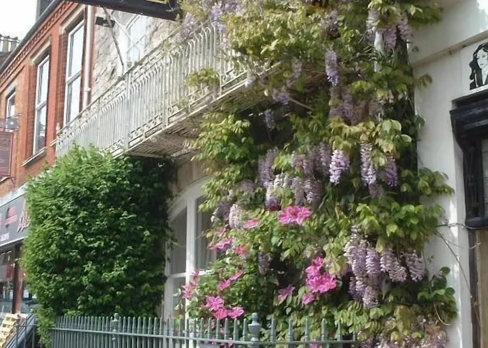 The Casterbridge