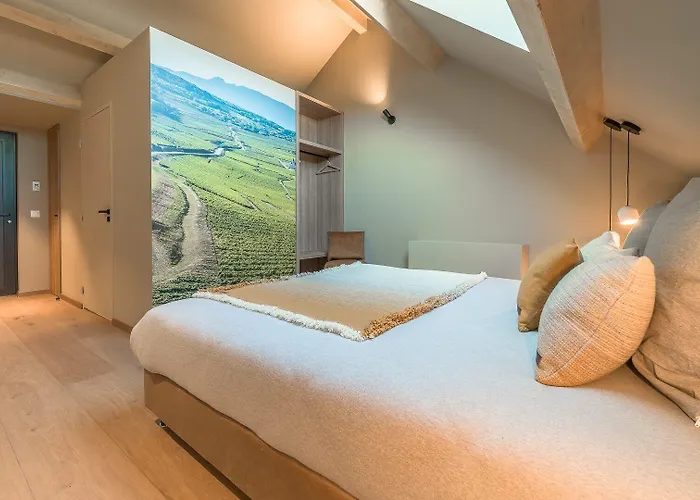 Domaine Carrel & Senger Bed and Breakfast Jongieux
