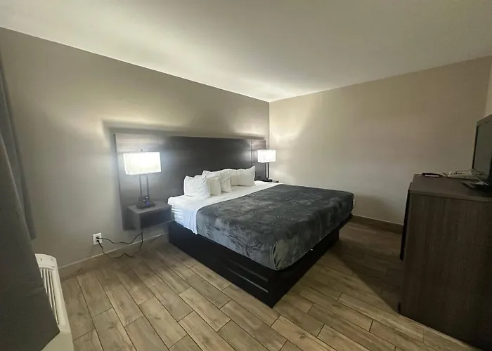 Econo Lodge St Petersburg Central