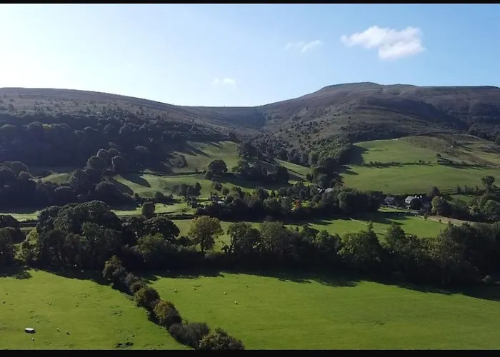 The Celyn