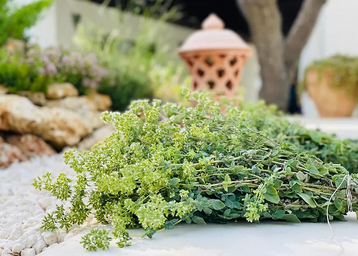 Shanti Home Vieste